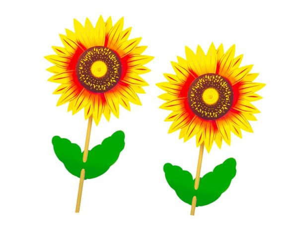 95 Girasole